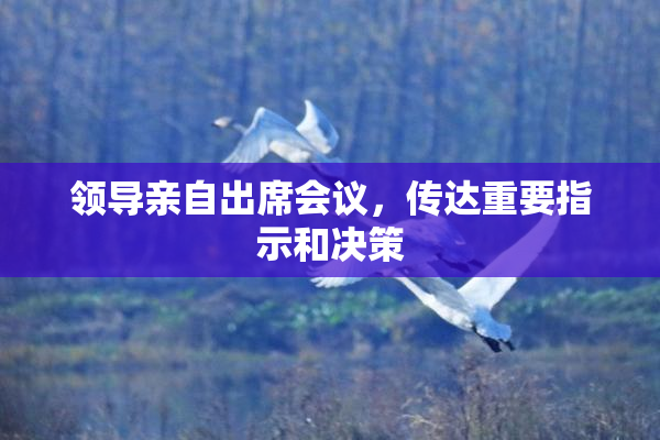领导亲自出席会议，传达重要指示和决策
