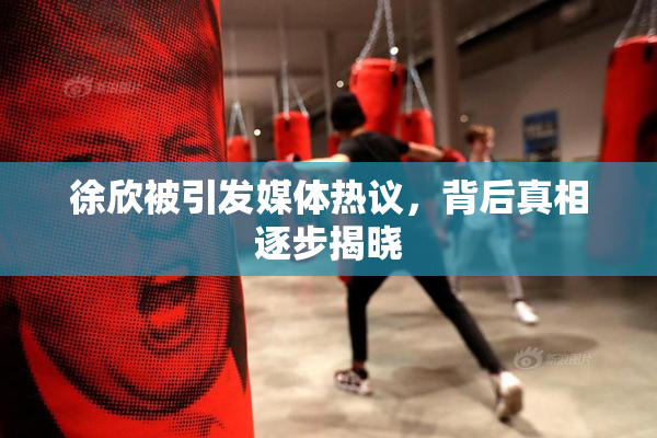 徐欣被引发媒体热议，背后真相逐步揭晓