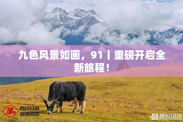 九色风景如画，91丨重磅开启全新旅程！