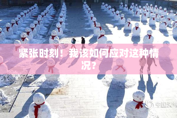 紧张时刻！我该如何应对这种情况？