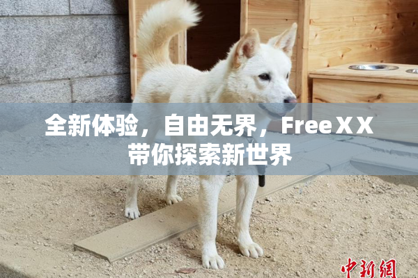 全新体验，自由无界，FreeⅩX带你探索新世界