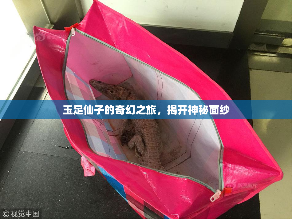 玉足仙子的奇幻之旅，揭开神秘面纱