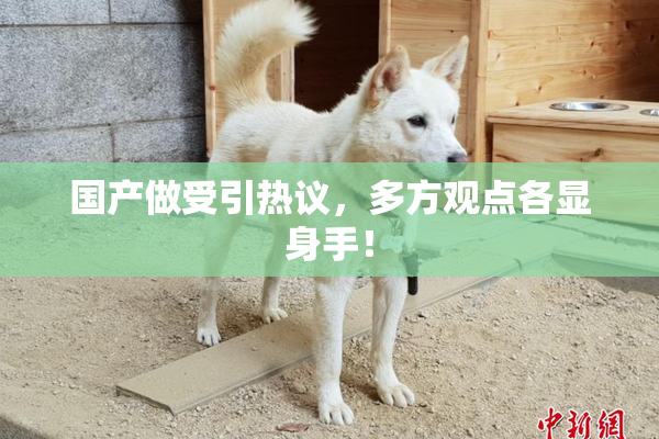 国产做受引热议，多方观点各显身手！
