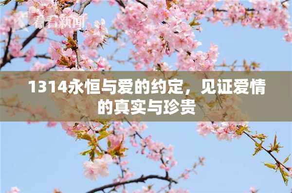 1314永恒与爱的约定，见证爱情的真实与珍贵