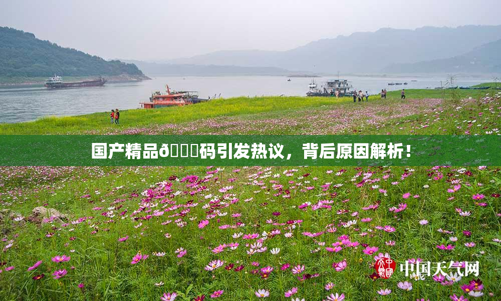 国产精品🈚码引发热议，背后原因解析！