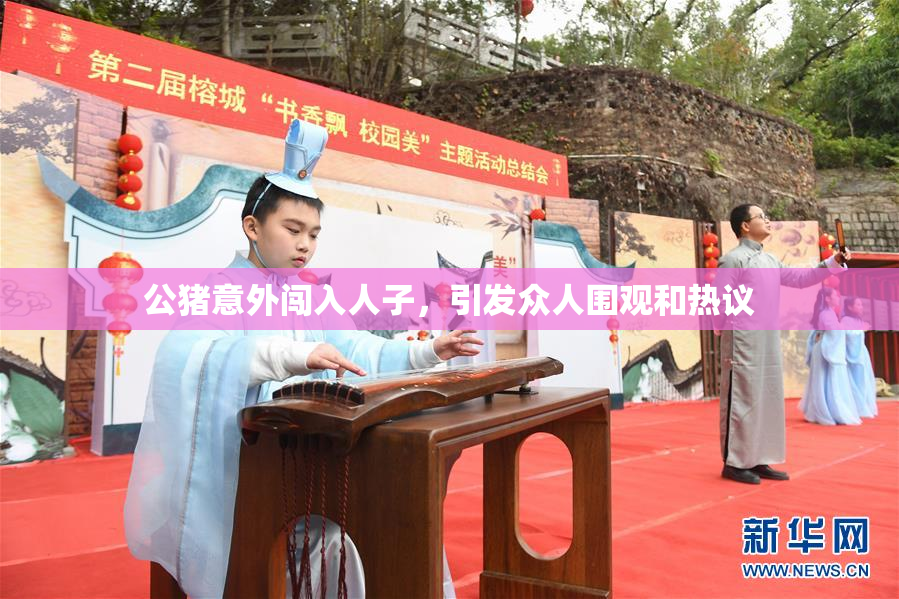 公猪意外闯入人子，引发众人围观和热议