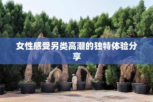 女性感受另类高潮的独特体验分享