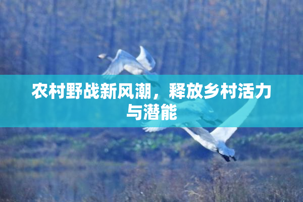 农村野战新风潮，释放乡村活力与潜能