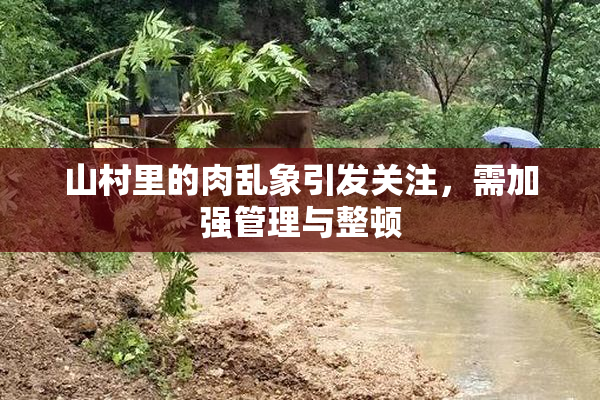 山村里的肉乱象引发关注，需加强管理与整顿