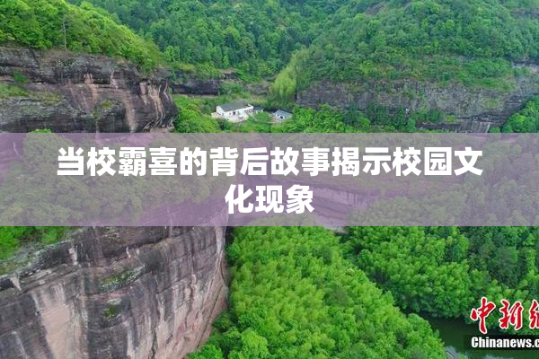当校霸喜的背后故事揭示校园文化现象
