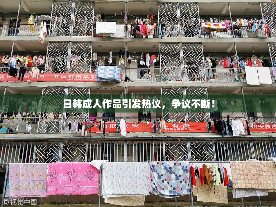 日韩成人作品引发热议，争议不断！