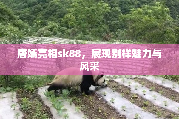 唐嫣亮相sk88，展现别样魅力与风采