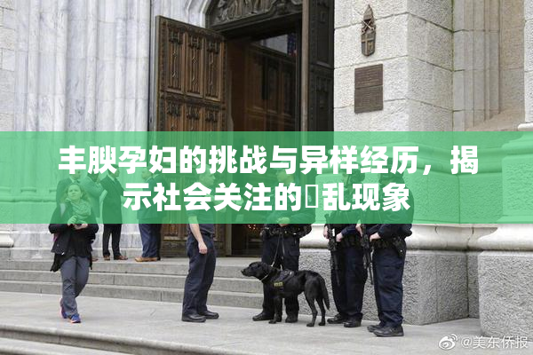 丰腴孕妇的挑战与异样经历，揭示社会关注的婬乱现象