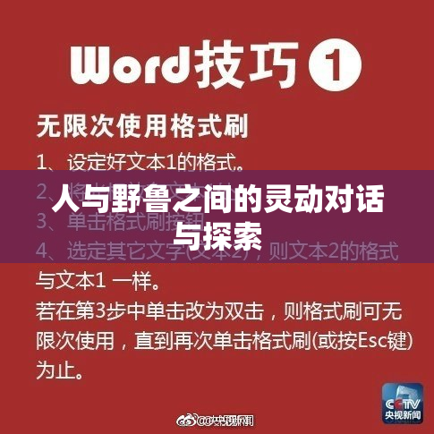 人与野鲁之间的灵动对话与探索