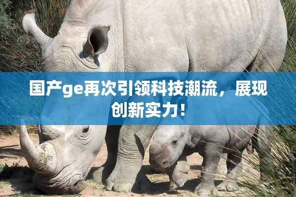 国产ge再次引领科技潮流，展现创新实力！