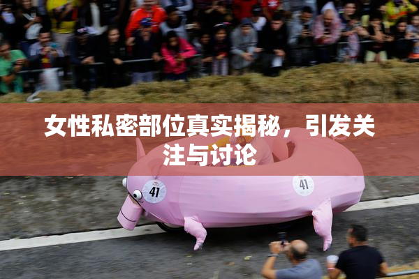 女性私密部位真实揭秘，引发关注与讨论