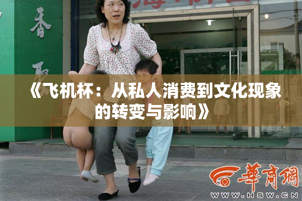 《飞机杯：从私人消费到文化现象的转变与影响》