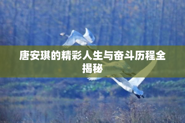 唐安琪的精彩人生与奋斗历程全揭秘