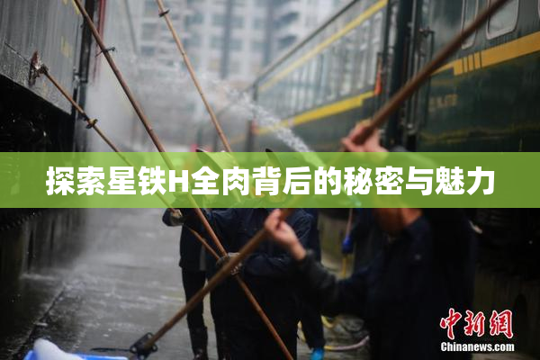 探索星铁H全肉背后的秘密与魅力