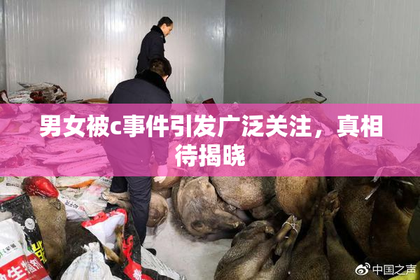 男女被c事件引发广泛关注，真相待揭晓