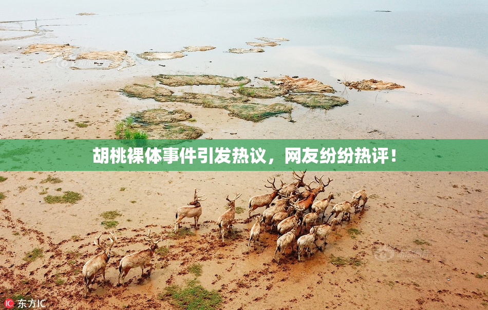胡桃裸体事件引发热议，网友纷纷热评！