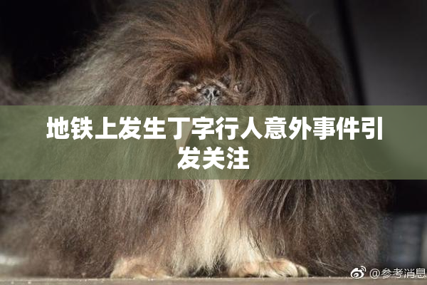 地铁上发生丁字行人意外事件引发关注