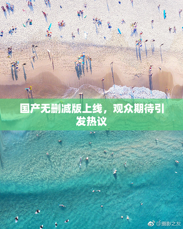 国产无删减版上线，观众期待引发热议