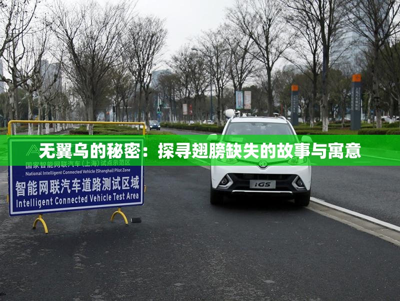 无翼乌的秘密：探寻翅膀缺失的故事与寓意