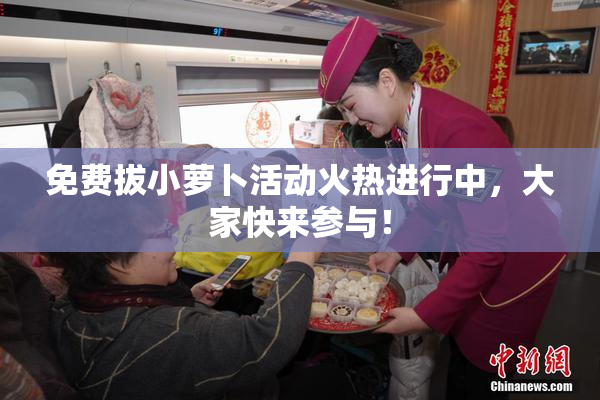 免费拔小萝卜活动火热进行中，大家快来参与！