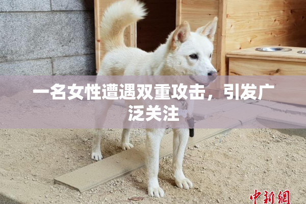 一名女性遭遇双重攻击，引发广泛关注