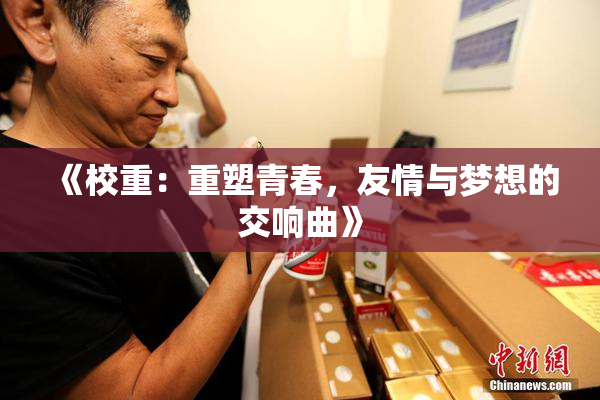 《校重：重塑青春，友情与梦想的交响曲》