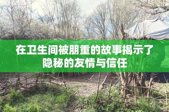 在卫生间被朋重的故事揭示了隐秘的友情与信任