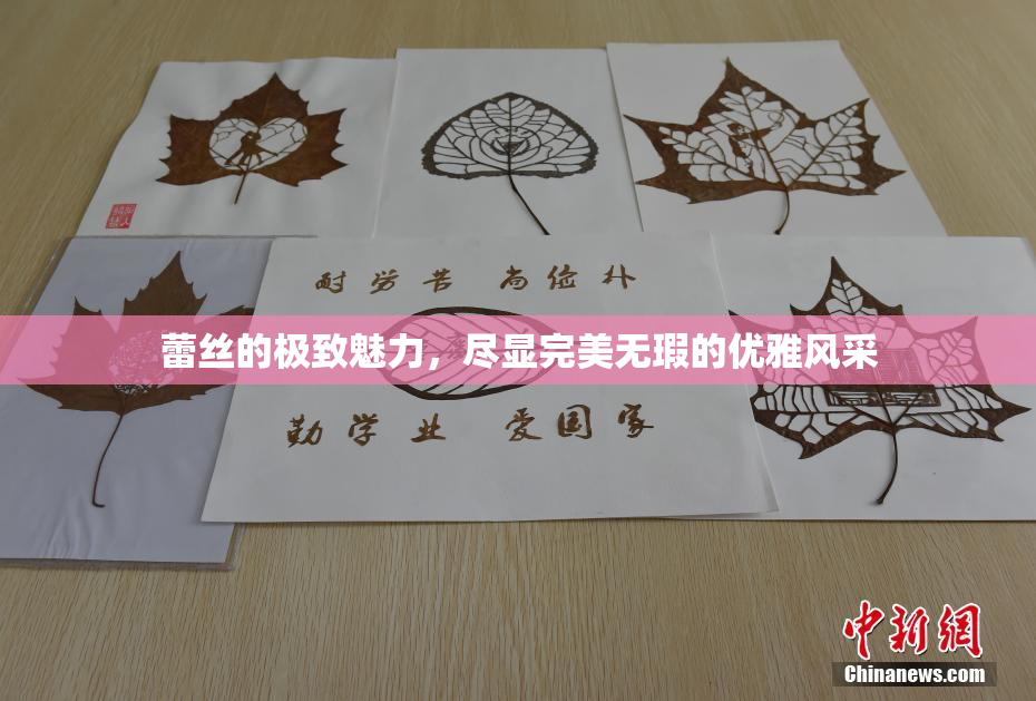 蕾丝的极致魅力，尽显完美无瑕的优雅风采