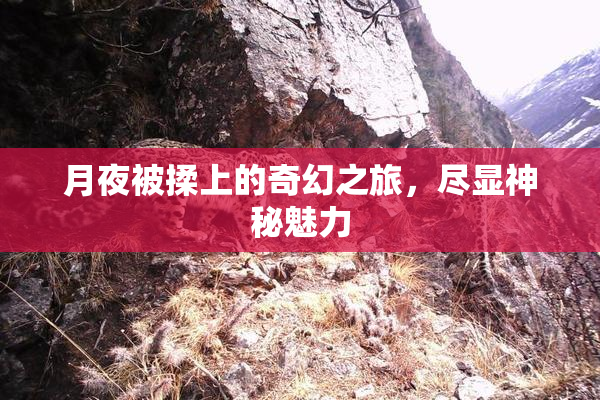 月夜被揉上的奇幻之旅，尽显神秘魅力