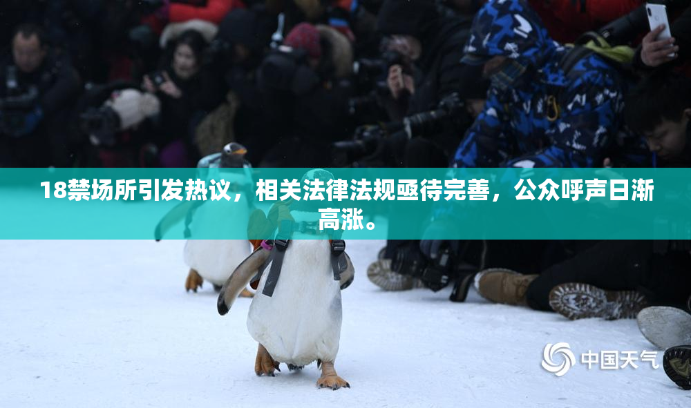 18禁场所引发热议，相关法律法规亟待完善，公众呼声日渐高涨。