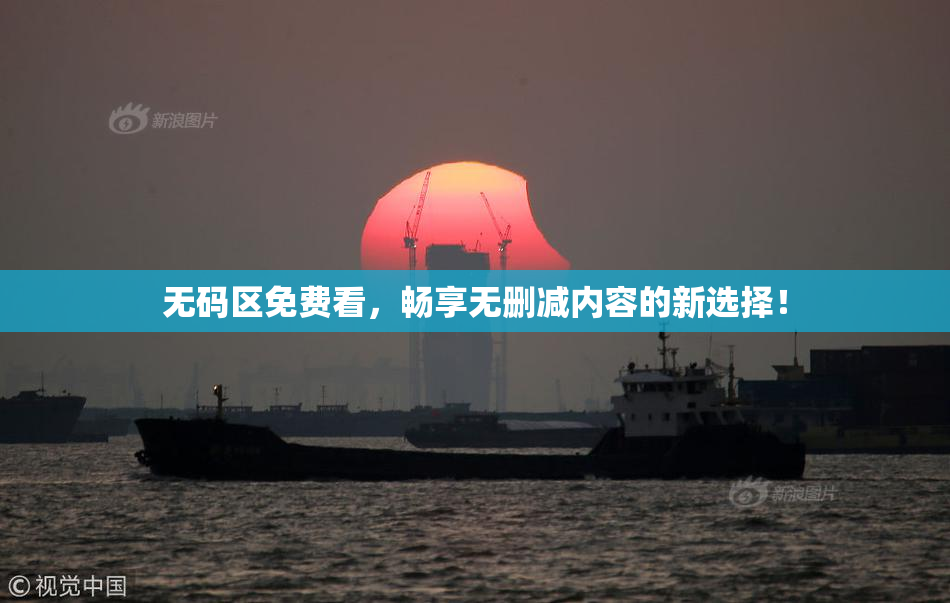 无码区免费看，畅享无删减内容的新选择！