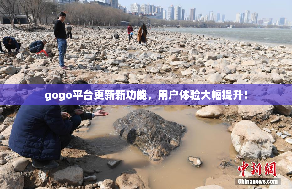 gogo平台更新新功能，用户体验大幅提升！