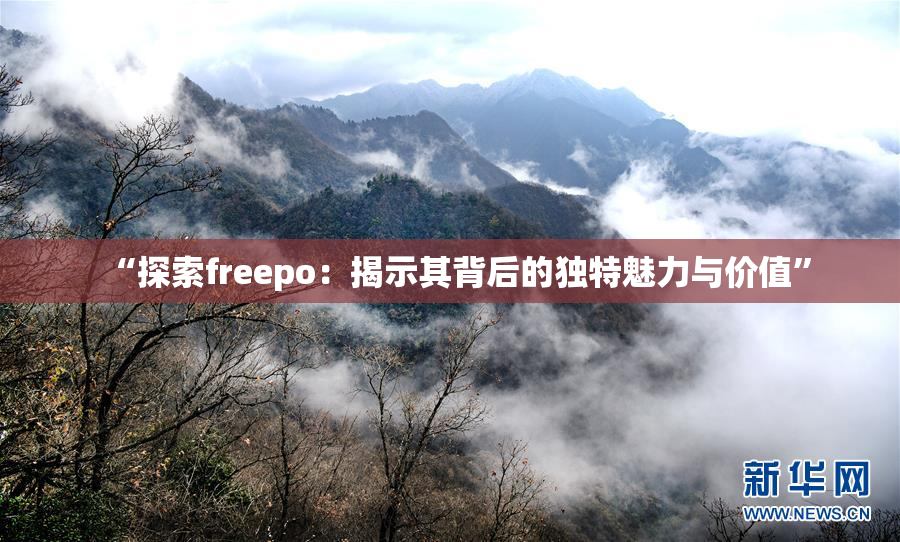 “探索freepo：揭示其背后的独特魅力与价值”