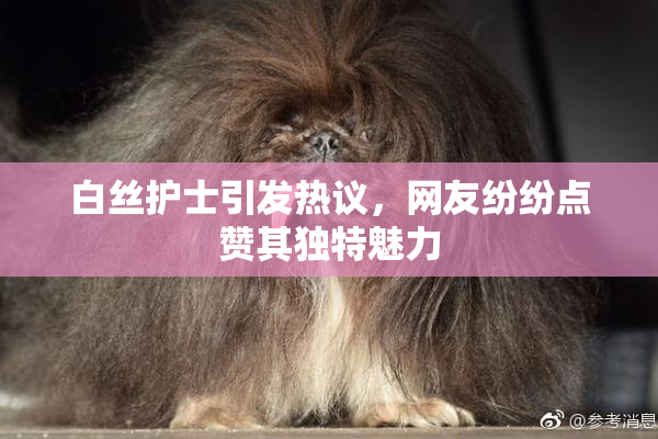 白丝护士引发热议，网友纷纷点赞其独特魅力