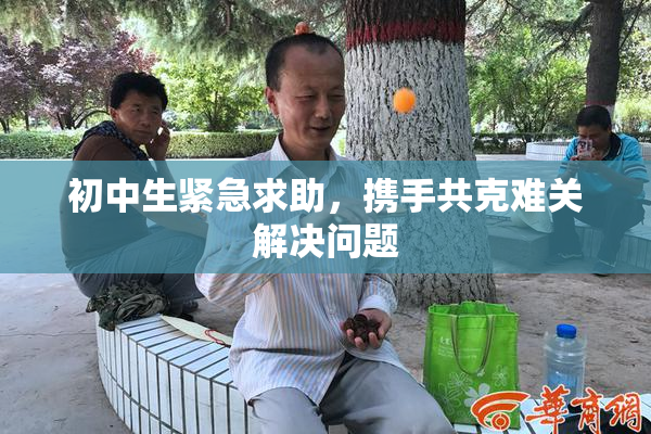 初中生紧急求助，携手共克难关解决问题
