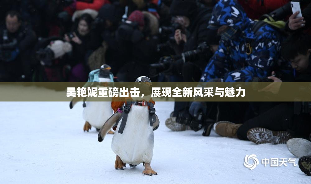 吴艳妮重磅出击，展现全新风采与魅力