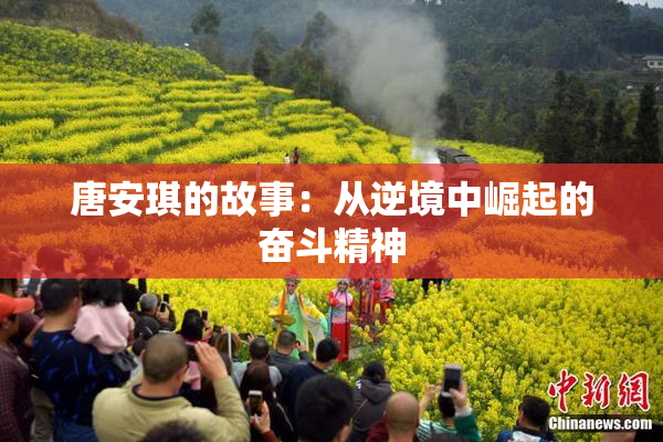 唐安琪的故事：从逆境中崛起的奋斗精神