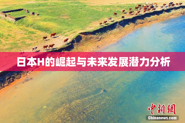 日本H的崛起与未来发展潜力分析