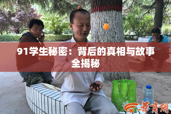 91学生秘密：背后的真相与故事全揭秘
