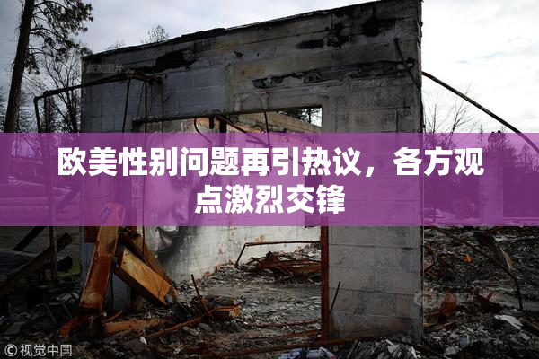 欧美性别问题再引热议，各方观点激烈交锋