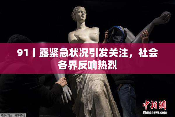 91丨露紧急状况引发关注，社会各界反响热烈