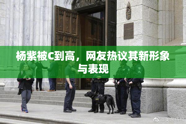 杨紫被C到高，网友热议其新形象与表现