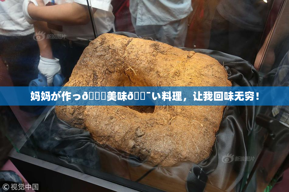 妈妈が作っ👅美味🔯い料理，让我回味无穷！