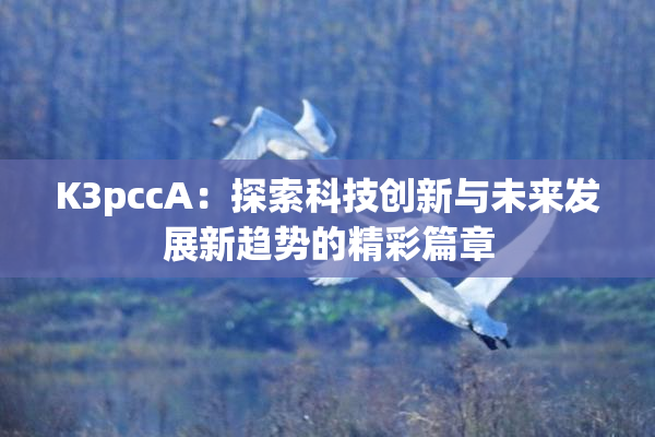 K3pccA：探索科技创新与未来发展新趋势的精彩篇章