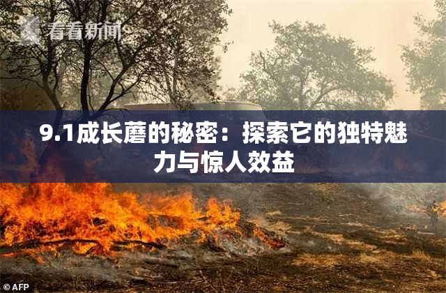 9.1成长蘑的秘密：探索它的独特魅力与惊人效益